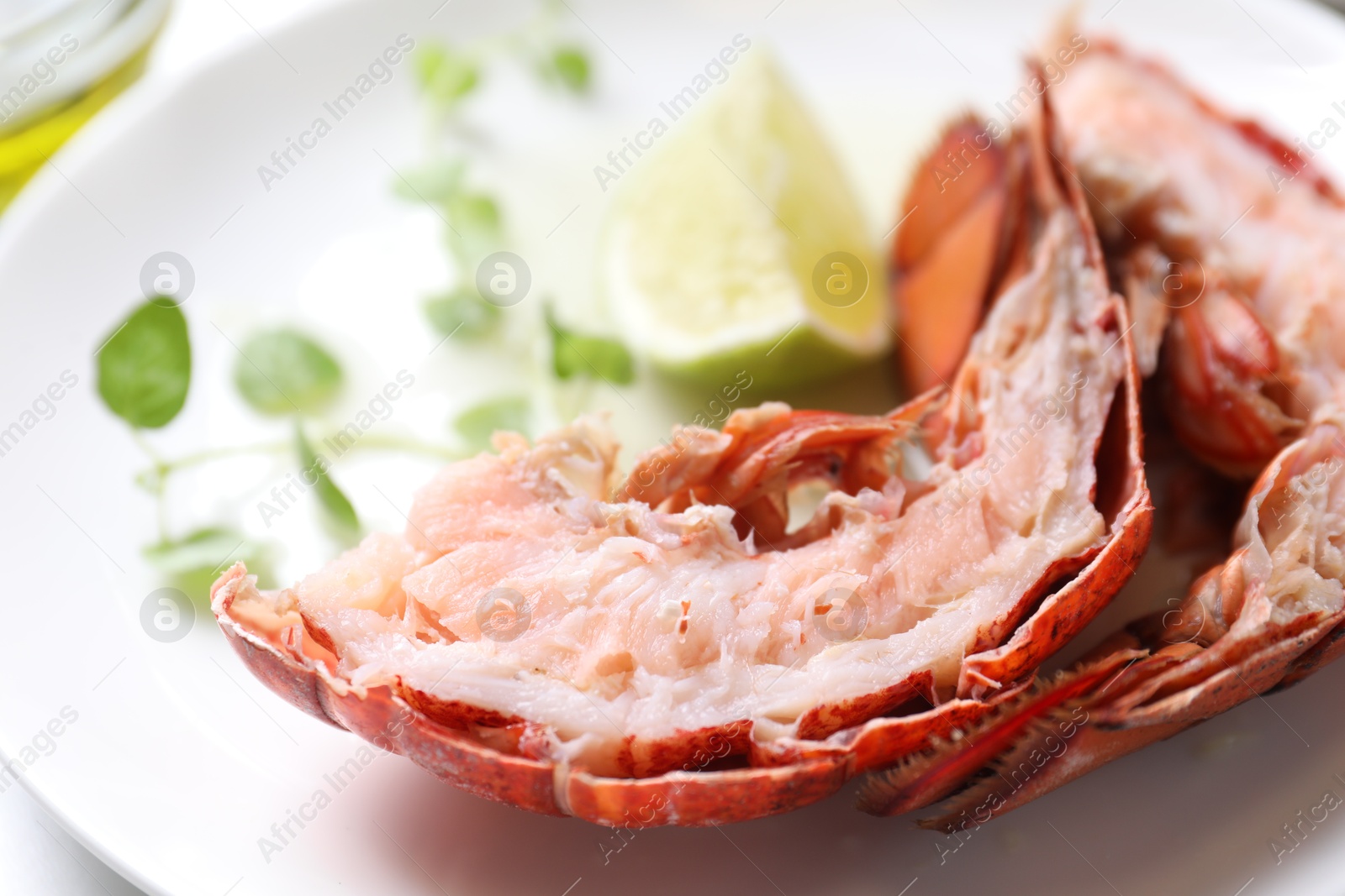 Photo of Delicious boiled lobster served on white table, closeup