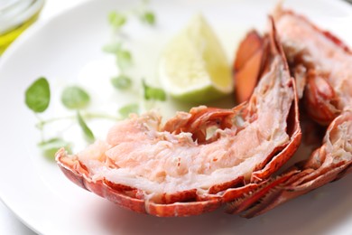 Photo of Delicious boiled lobster served on white table, closeup