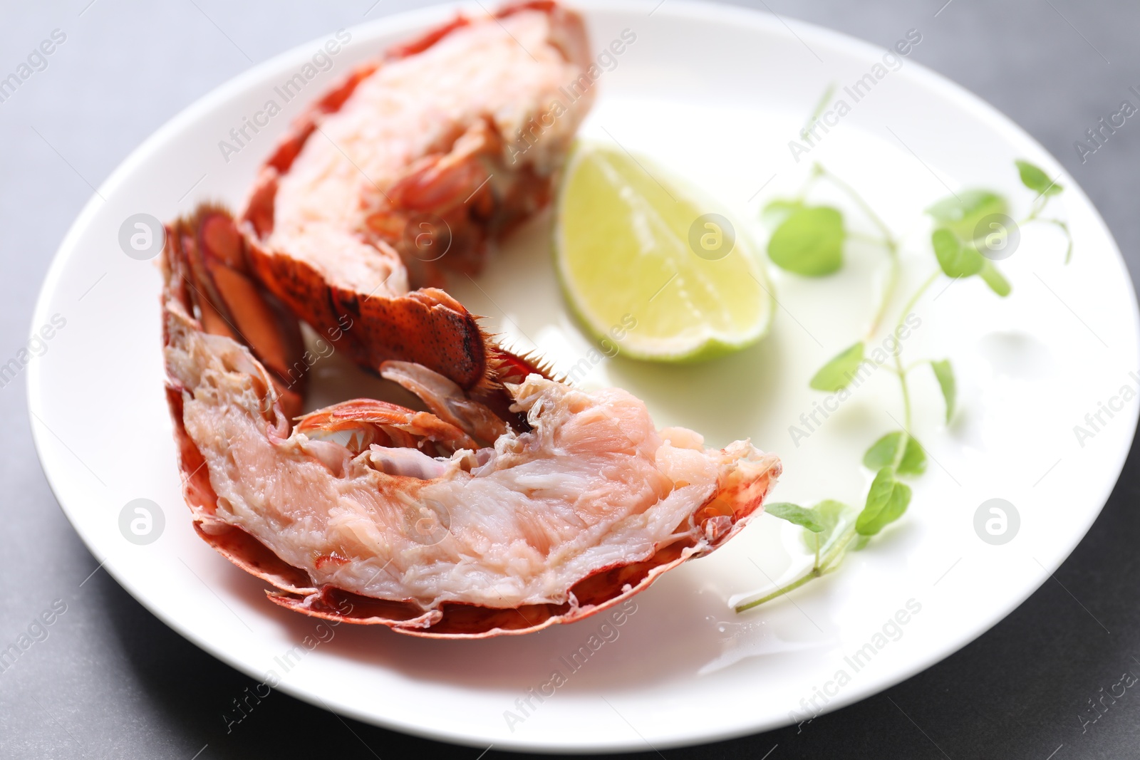 Photo of Delicious tail of boiled lobster served on grey table, closeup