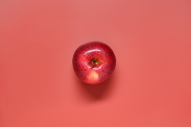 Photo of Fresh ripe apple on red background, top view