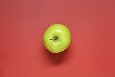 Photo of Fresh green apple on red background, top view