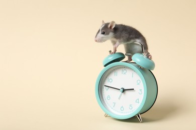 Adorable little rat and alarm clock on beige background, closeup. Space for text