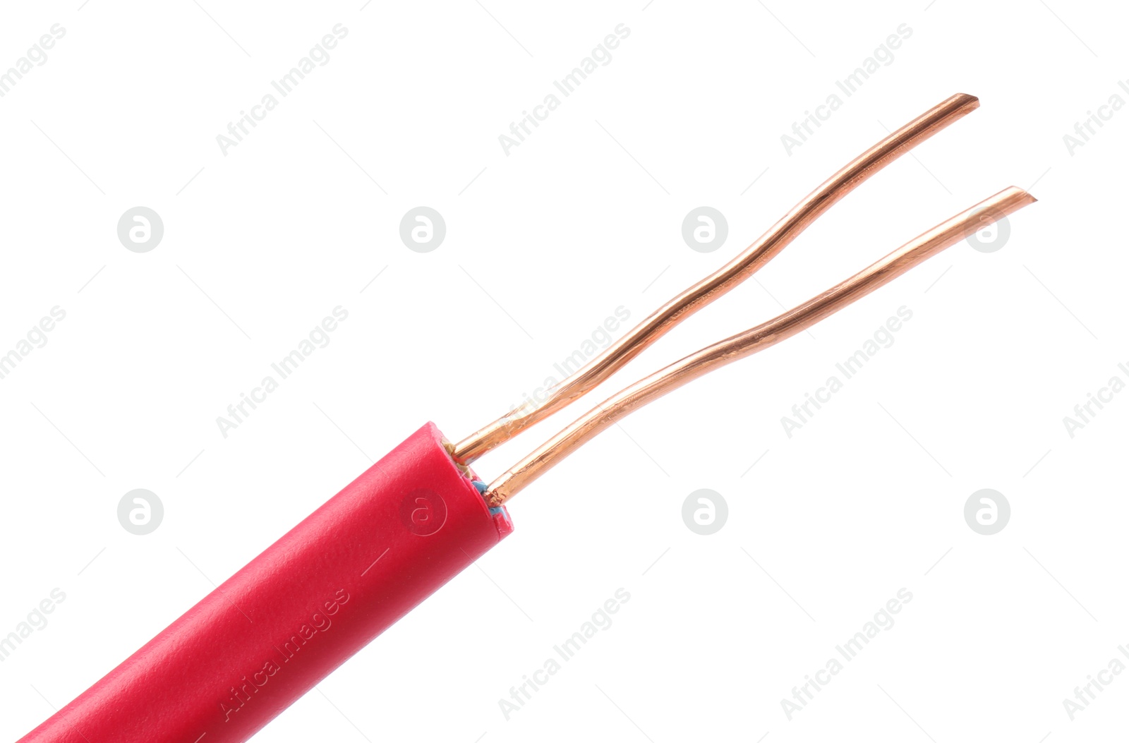 Photo of Stripped electrical wire with copper strands on white background