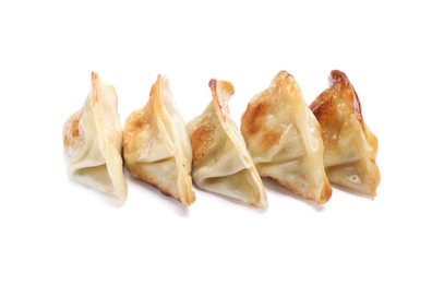 Delicious fried gyoza dumplings isolated on white