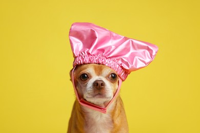 Photo of Cute funny dog in pink shower cap on yellow background