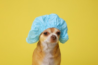 Photo of Cute funny dog in light blue shower cap on yellow background