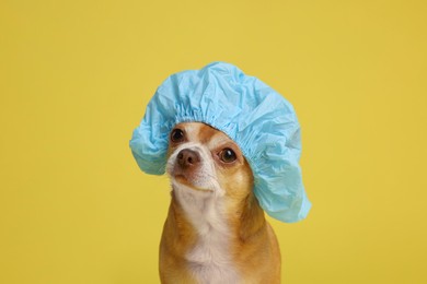 Photo of Cute funny dog in light blue shower cap on yellow background