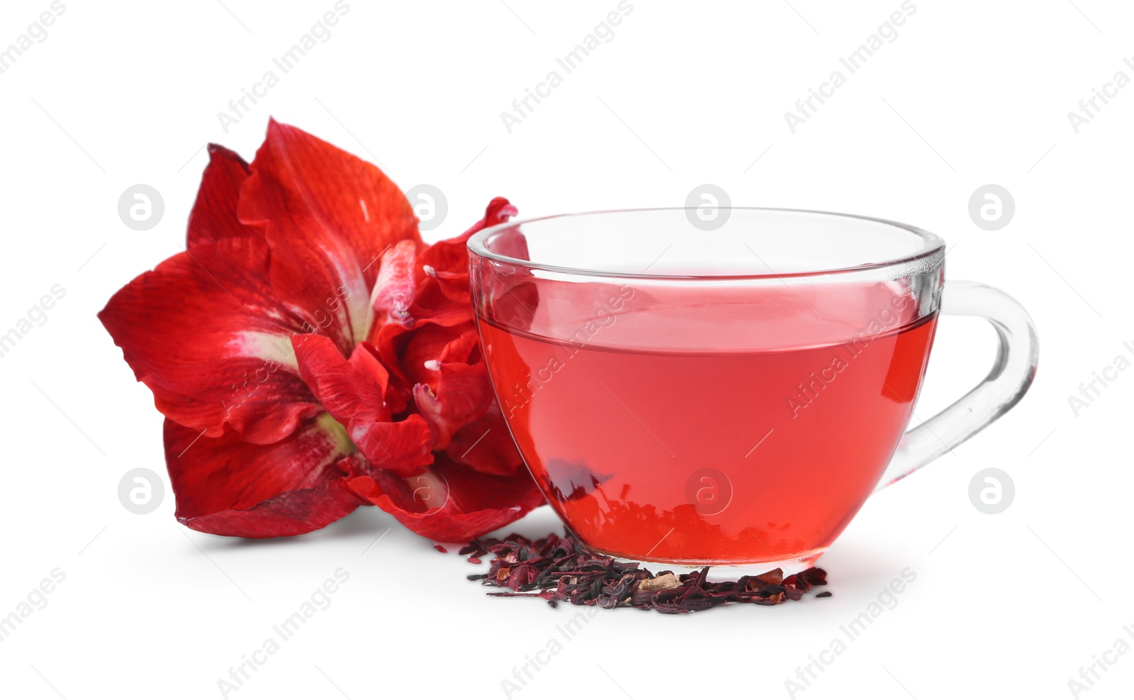 Photo of Tasty hibiscus tea in glass cup and flower isolated on white