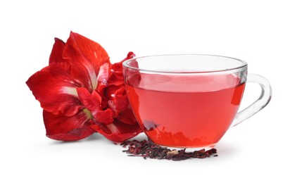 Photo of Tasty hibiscus tea in glass cup and flower isolated on white