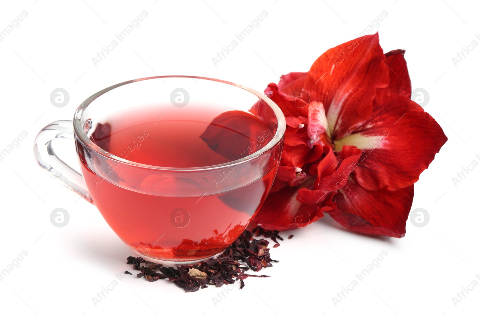 Photo of Tasty hibiscus tea in glass cup and flower isolated on white