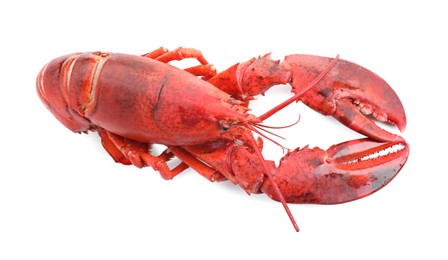 Photo of One tasty boiled lobster isolated on white, above view