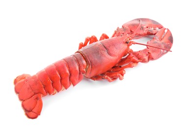 Photo of One tasty boiled lobster isolated on white