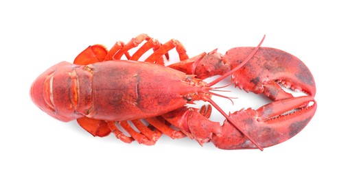 Photo of One tasty boiled lobster isolated on white, top view