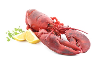 Photo of Tasty boiled lobster, lemon and microgreens isolated on white