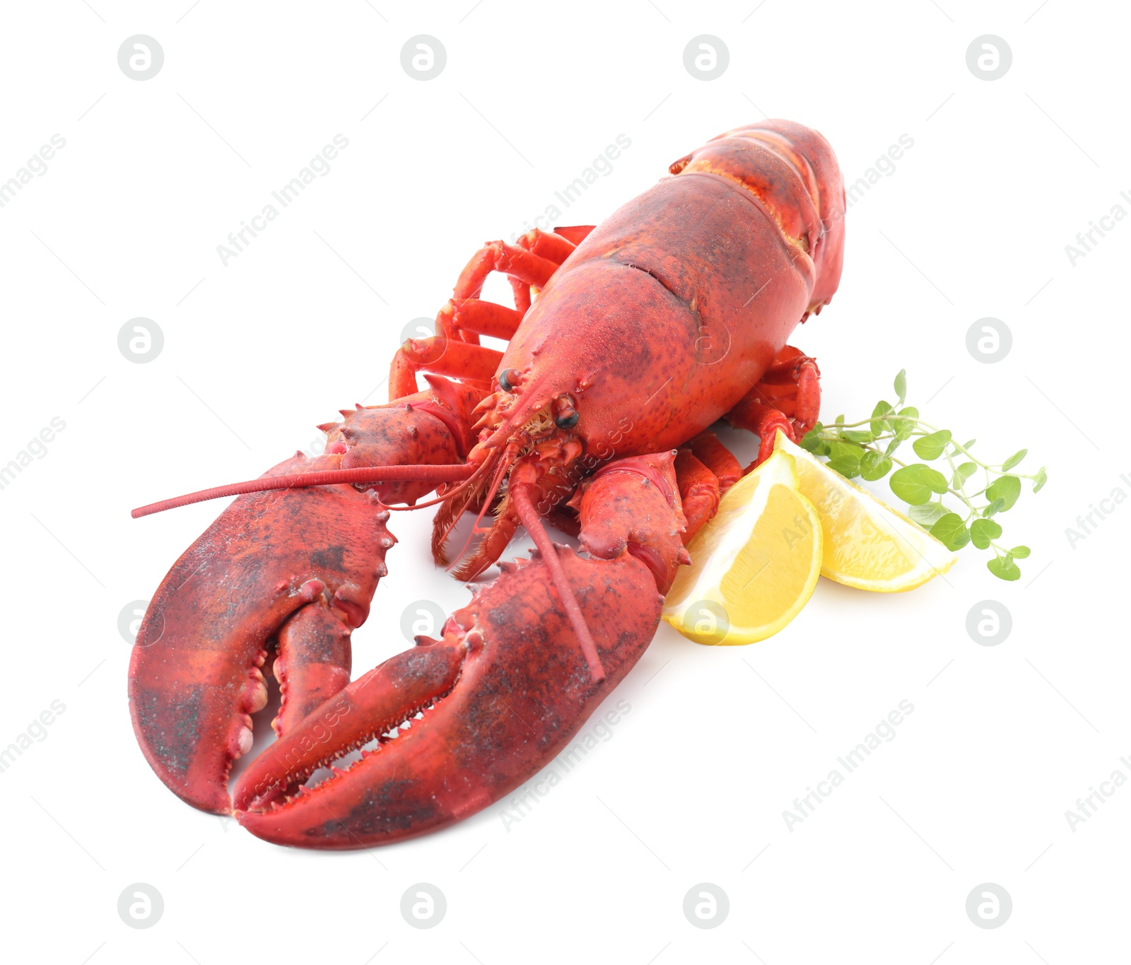 Photo of Tasty boiled lobster, lemon and microgreens isolated on white