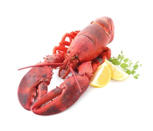 Photo of Tasty boiled lobster, lemon and microgreens isolated on white