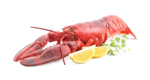 Photo of Tasty boiled lobster, lemon and microgreens isolated on white