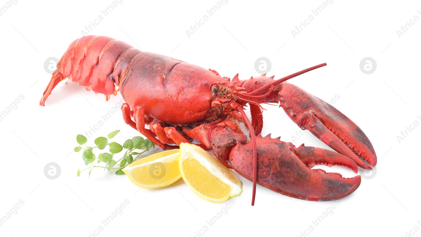 Photo of Tasty boiled lobster, lemon and microgreens isolated on white