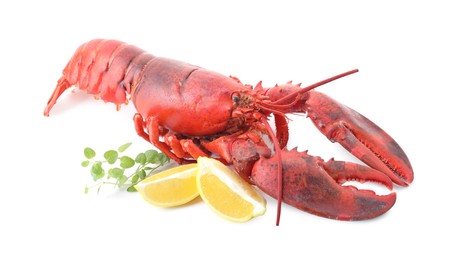 Photo of Tasty boiled lobster, lemon and microgreens isolated on white