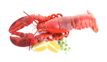 Photo of Tasty boiled lobster, lemon and microgreens isolated on white, above view