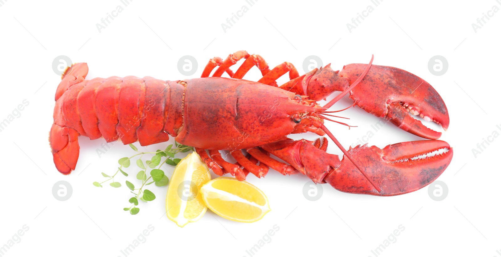 Photo of Tasty boiled lobster, lemon and microgreens isolated on white, above view