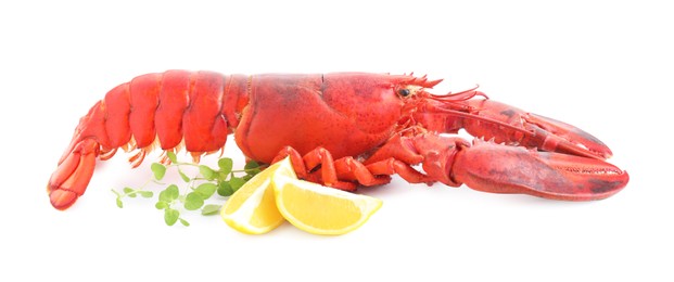 Photo of Tasty boiled lobster, lemon and microgreens isolated on white