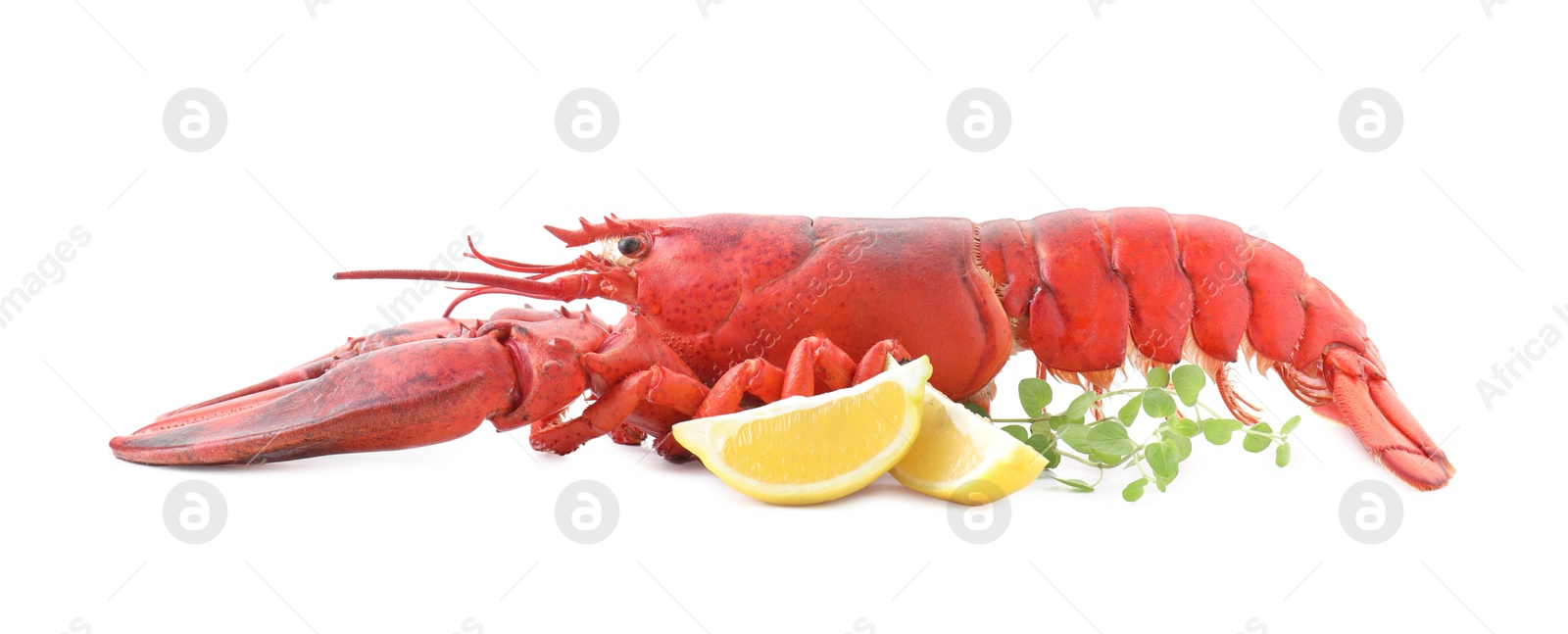 Photo of Tasty boiled lobster, lemon and microgreens isolated on white