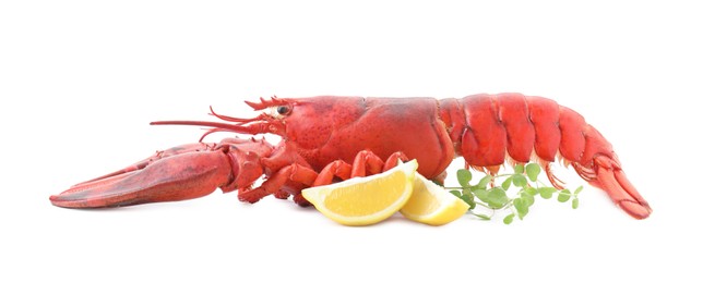 Photo of Tasty boiled lobster, lemon and microgreens isolated on white