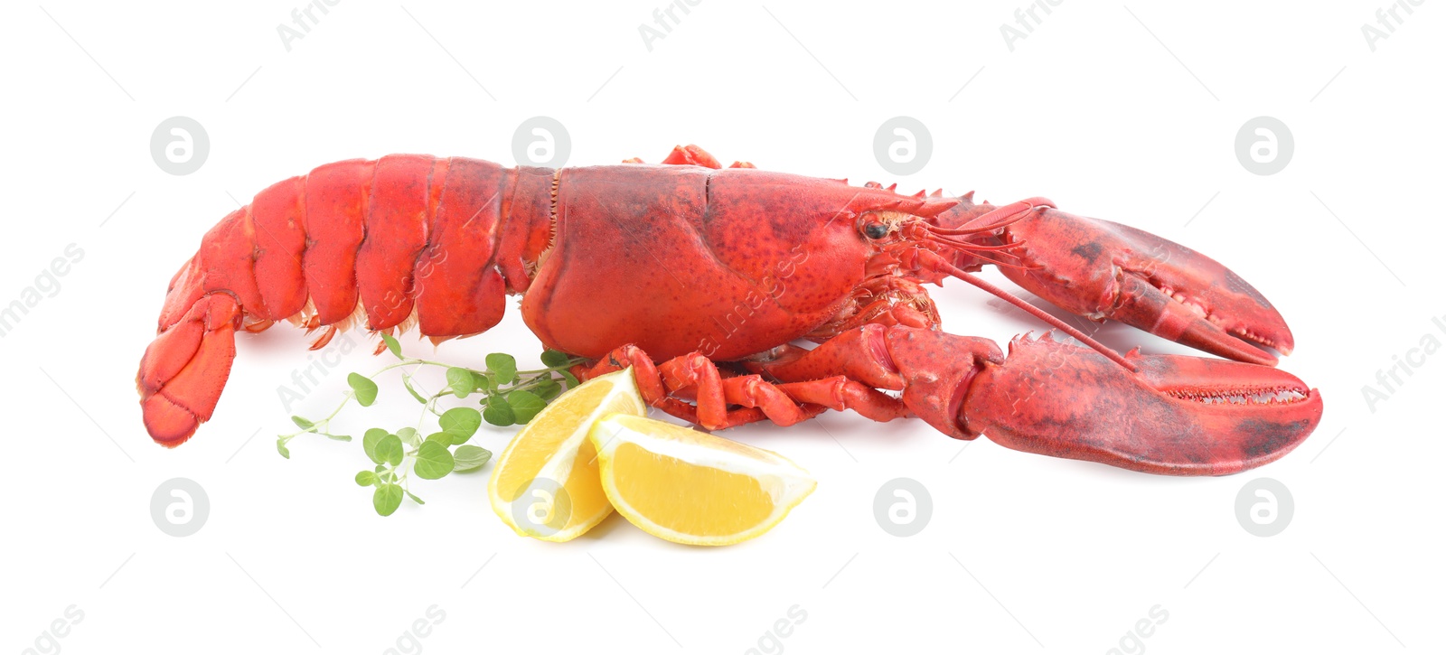 Photo of Tasty boiled lobster, lemon and microgreens isolated on white