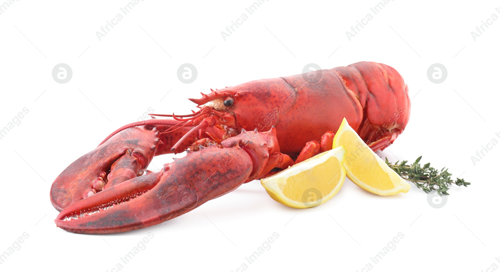 Photo of Tasty boiled lobster, lemon and thyme isolated on white