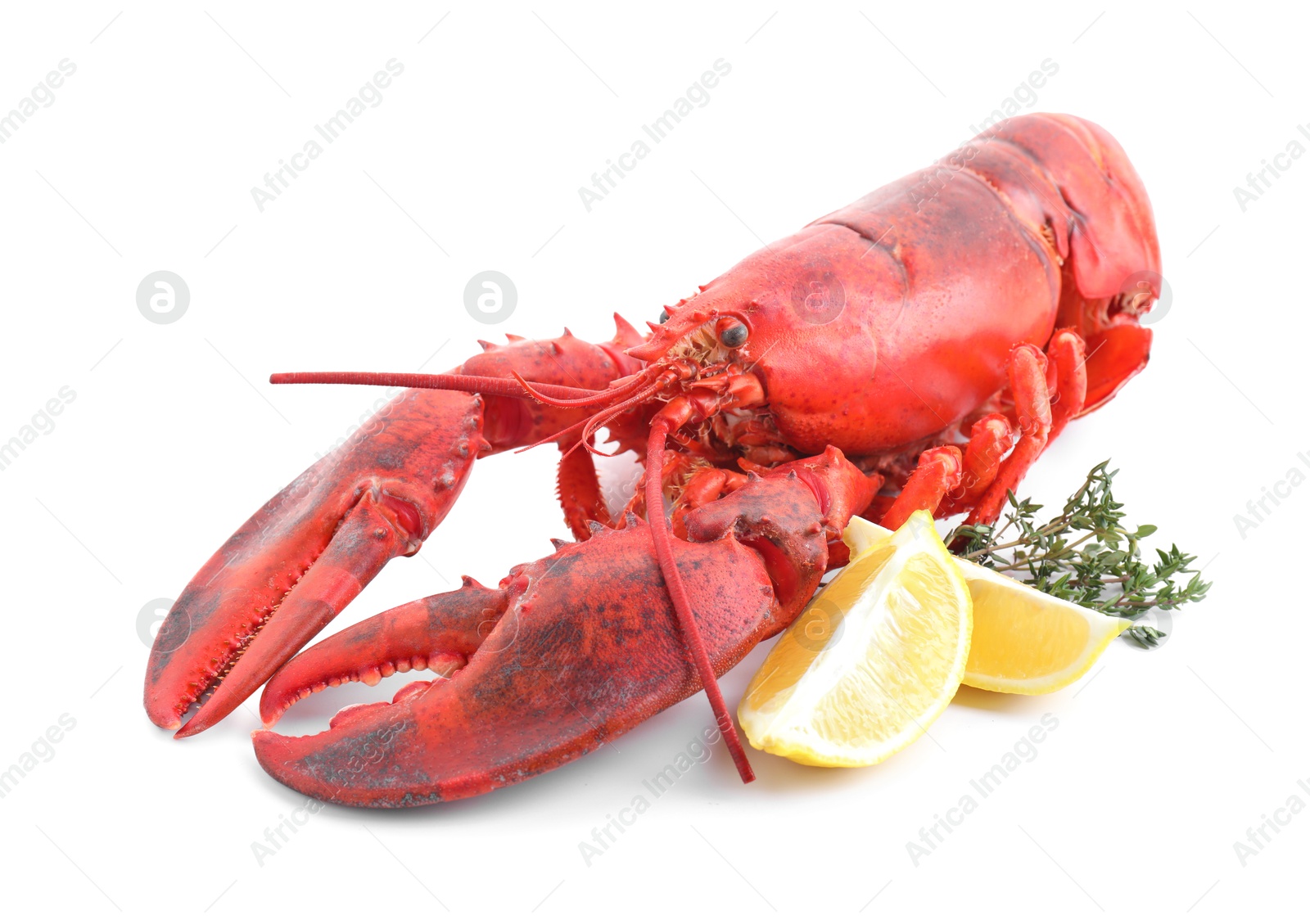 Photo of Tasty boiled lobster, lemon and thyme isolated on white