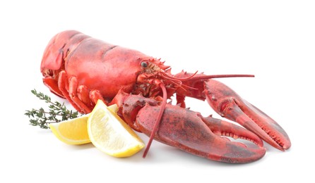 Photo of Tasty boiled lobster, lemon and thyme isolated on white