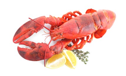 Photo of Tasty boiled lobster, lemon and thyme isolated on white, top view