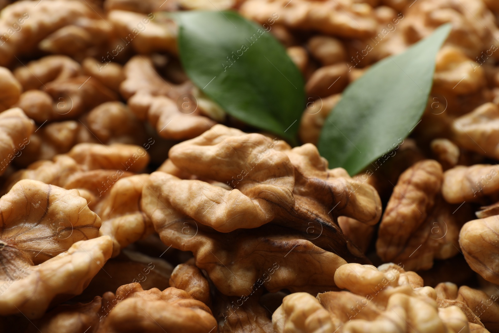 Photo of Pile of fresh ripe walnuts and green leaves as background, closeup