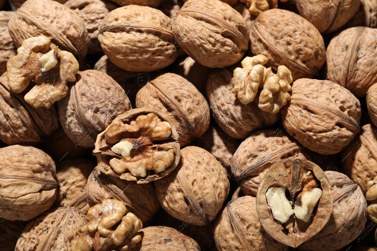 Photo of Fresh walnuts in shells and shelled ones as background, top view