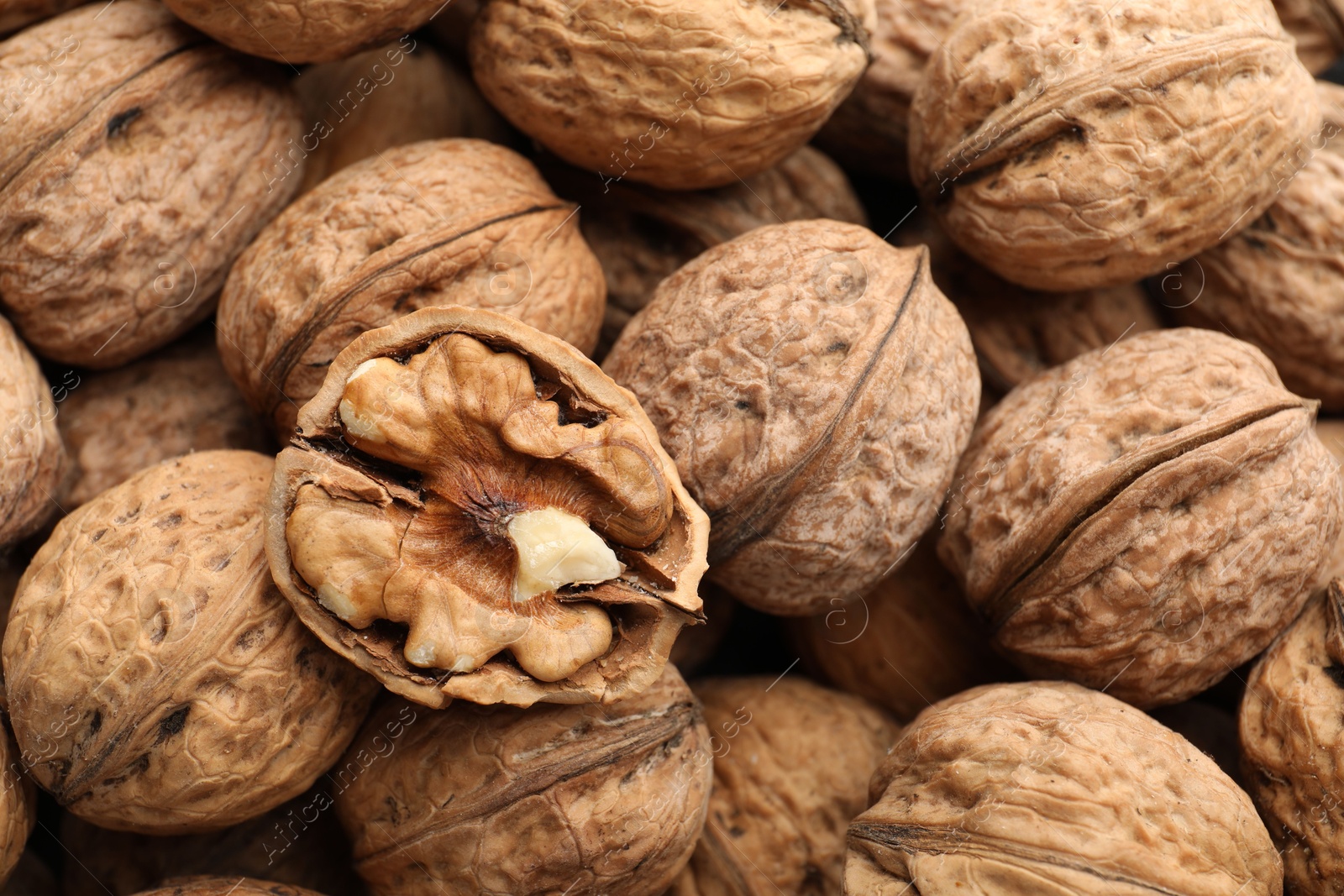 Photo of Fresh walnuts in shells as background, top view