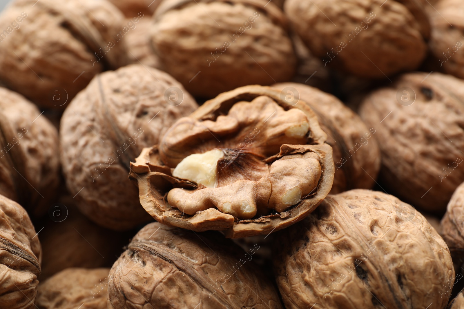 Photo of Fresh walnuts in shells as background, closeup