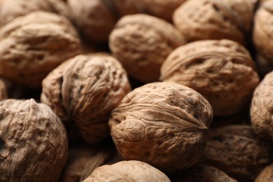 Photo of Fresh walnuts in shells as background, closeup