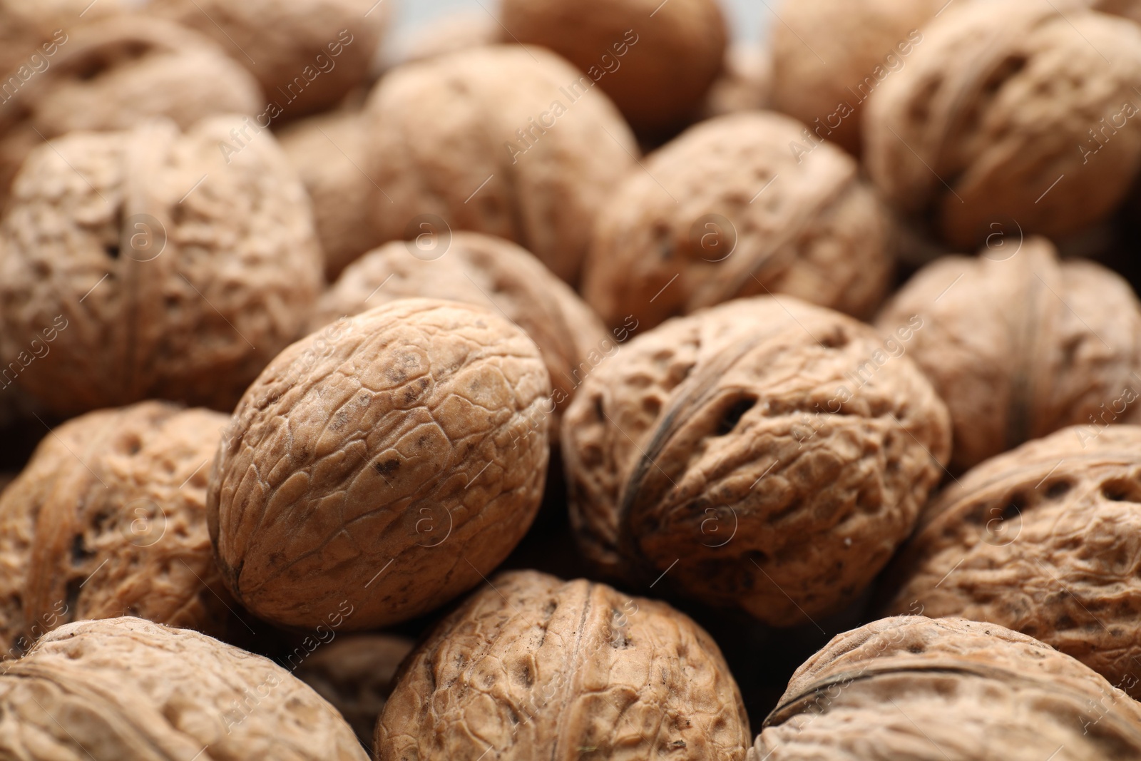 Photo of Fresh walnuts in shells as background, closeup