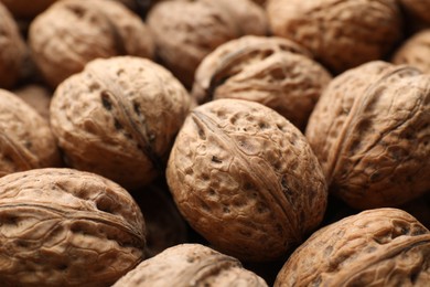 Photo of Fresh walnuts in shells as background, closeup