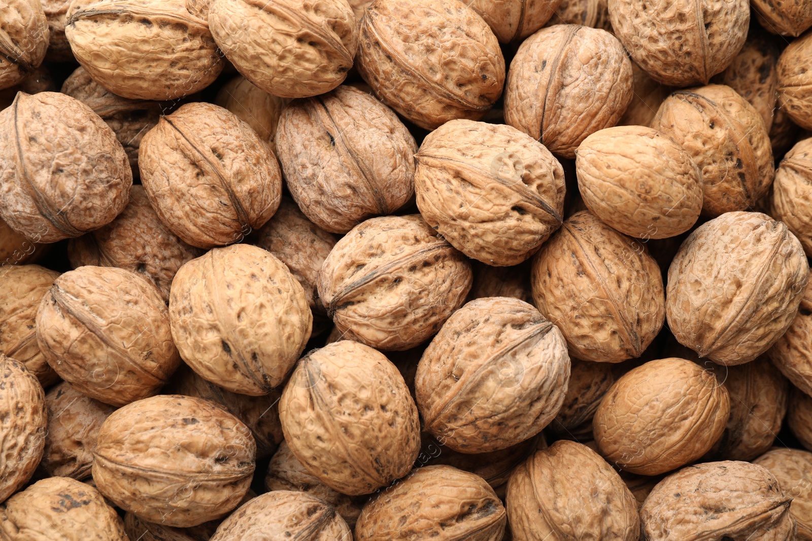 Photo of Fresh walnuts in shells as background, top view