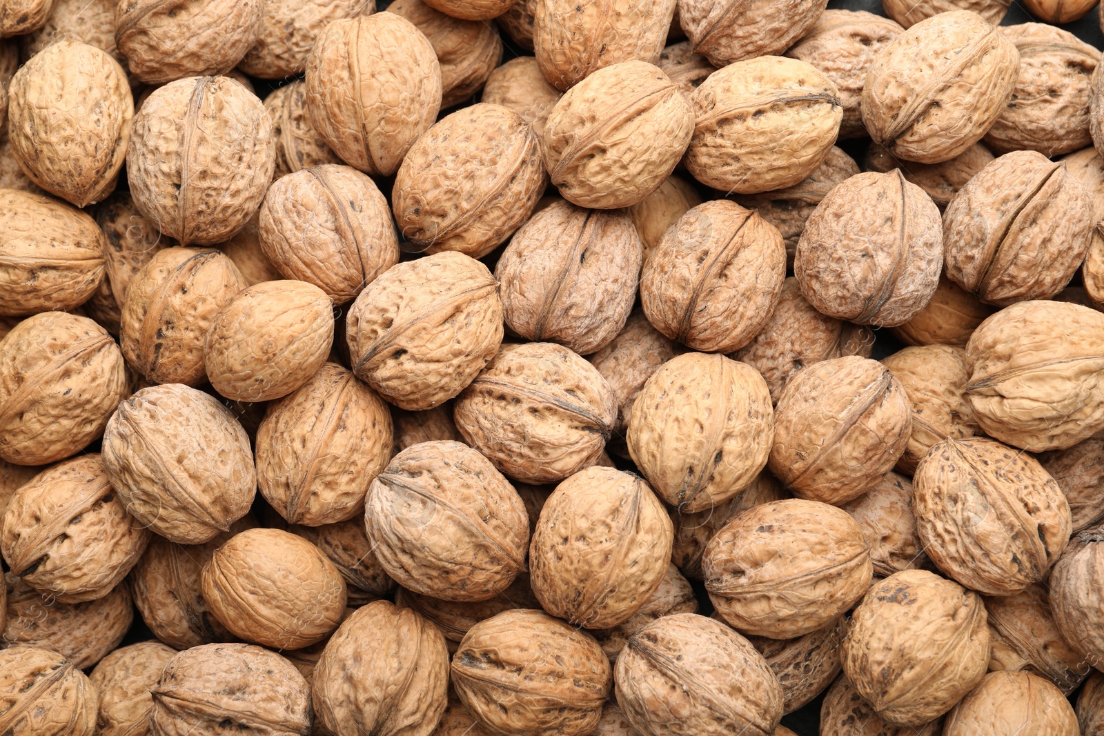 Photo of Fresh walnuts in shells as background, top view