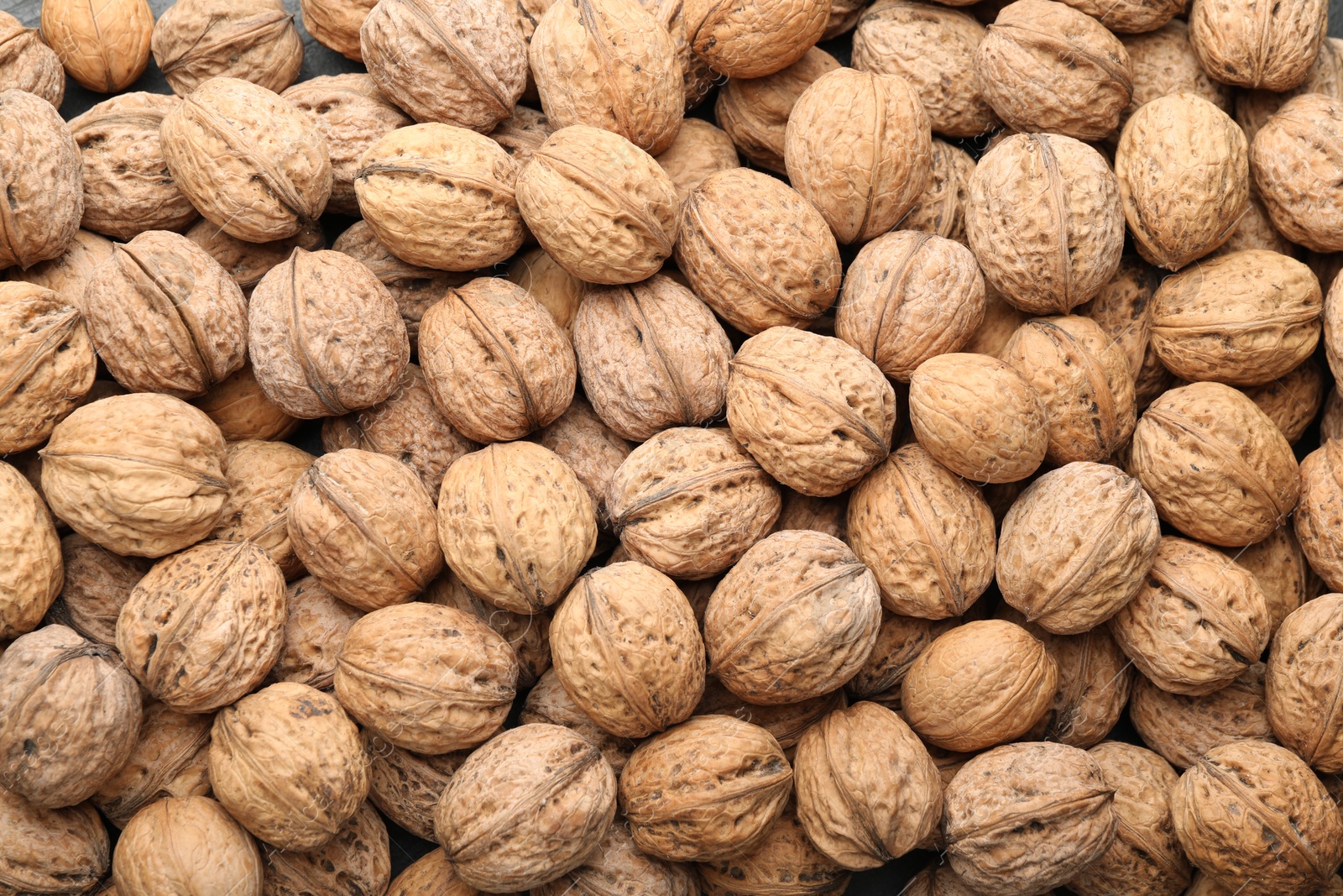 Photo of Fresh walnuts in shells as background, top view