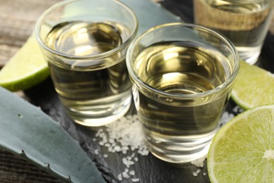 Photo of Mexican tequila shots, slices of lime, salt and agave leaves on table, closeup