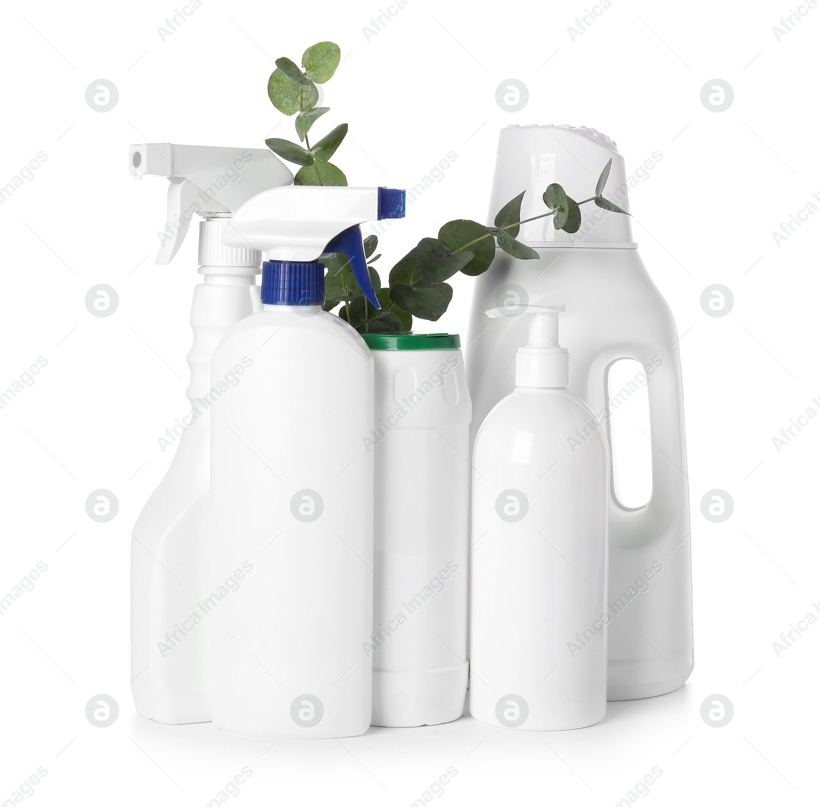 Photo of Eco-friendly cleaning products and eucalyptus branches isolated on white