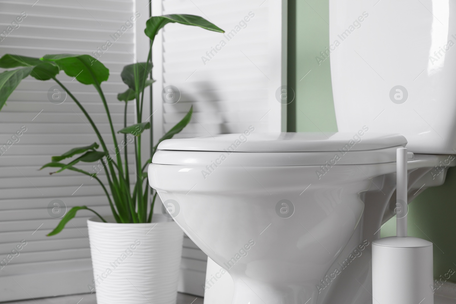 Photo of Folding screen, toilet bowl and houseplant in restroom, closeup