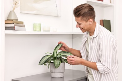 Photo of Smiling decorator arranging houseplant onto cabinet indoors