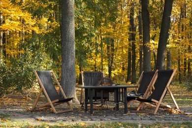 Photo of Picnic table and chairs in beautiful autumnal forest