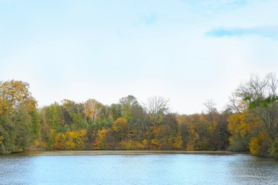 Photo of Lake surrounded by trees in autumn. Picturesque landscape