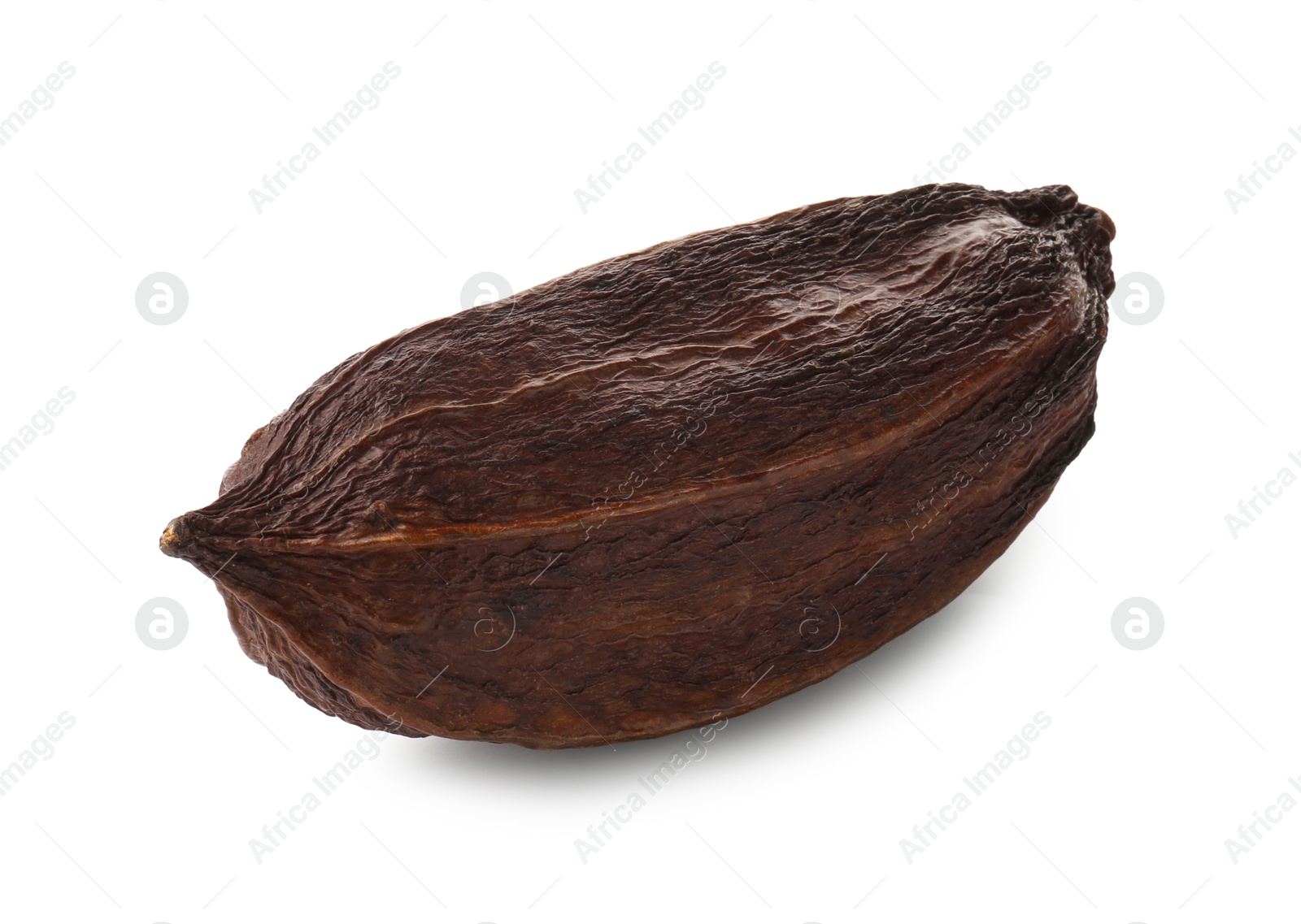 Photo of Whole tropical cocoa pod isolated on white